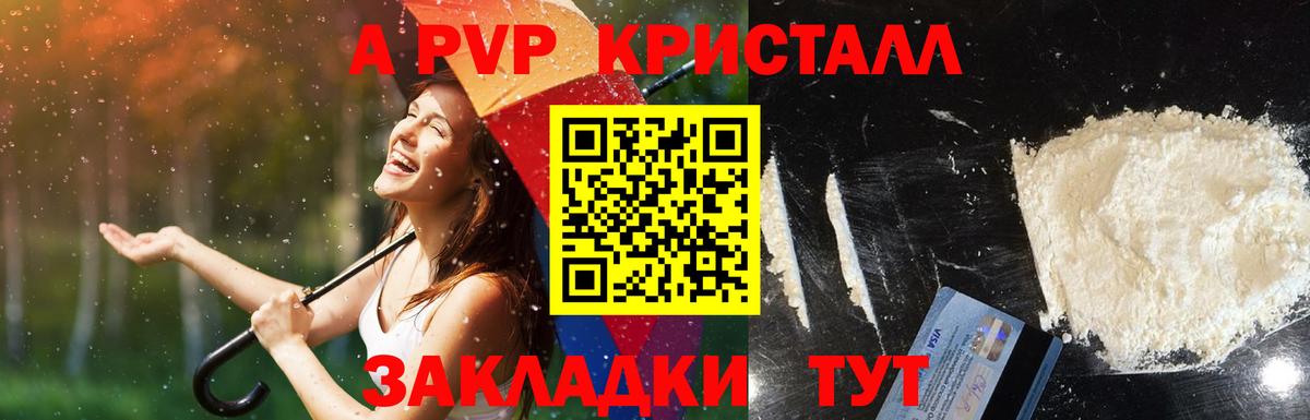 A-PVP СК КРИС Городец
