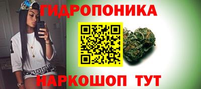 крисы Балахна