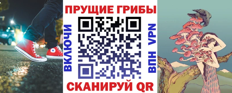 Галлюциногенные грибы прущие грибы  ОМГ ОМГ зеркало  Городец 