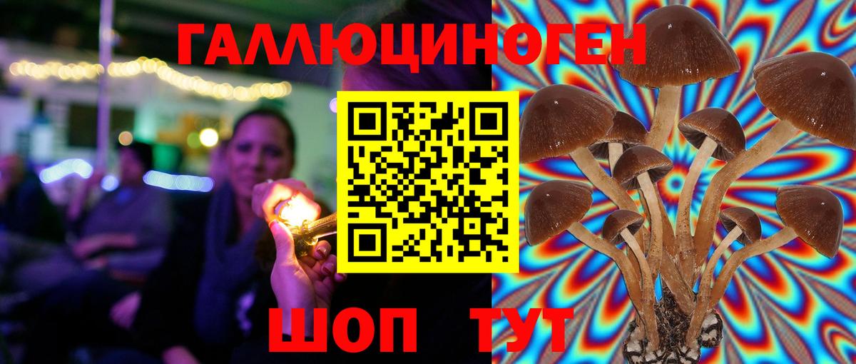 Галлюциногенные грибы мицелий Городец