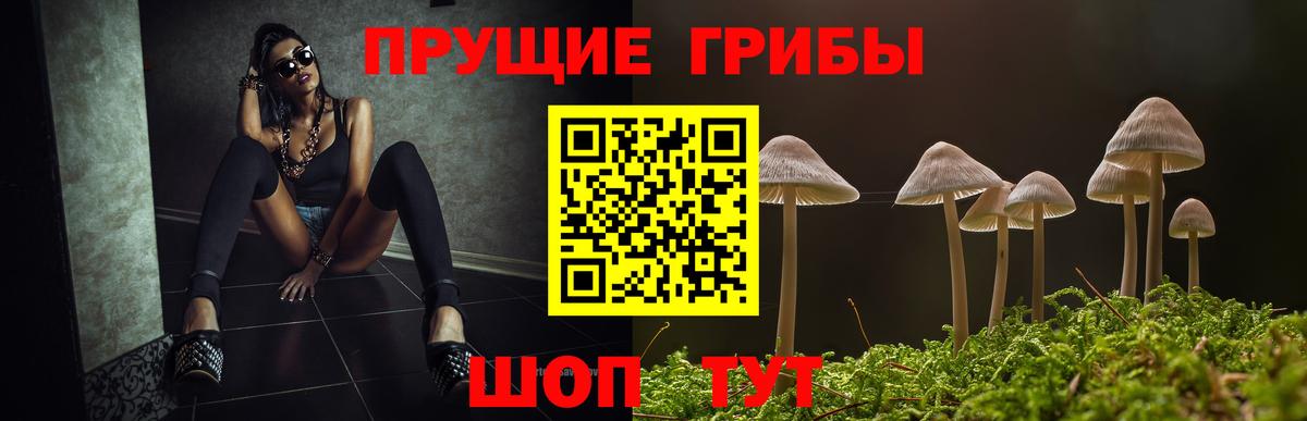 Городец  Галлюциногенные грибы прущие грибы  Псилоцибиновые грибы MAGIC MUSHROOMS  Вход с VPN 
