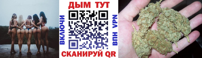 Каннабис семена  где найти   Городец 